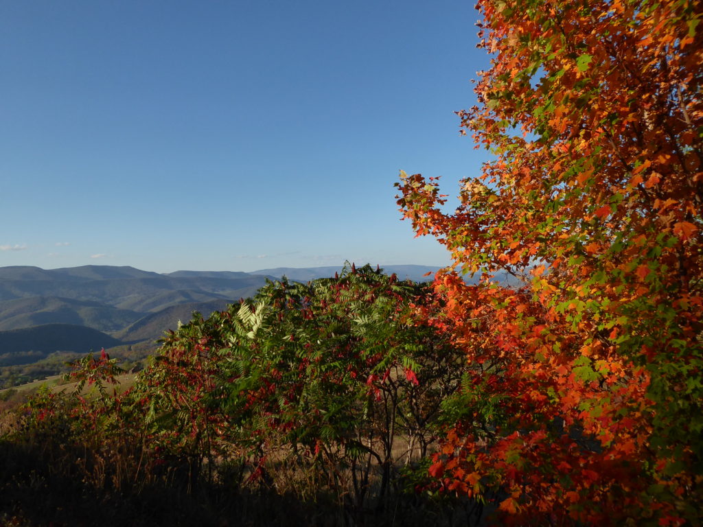 Fall Foliage in West Virginia-October 14, 2017 | Travels and Hikes with ...